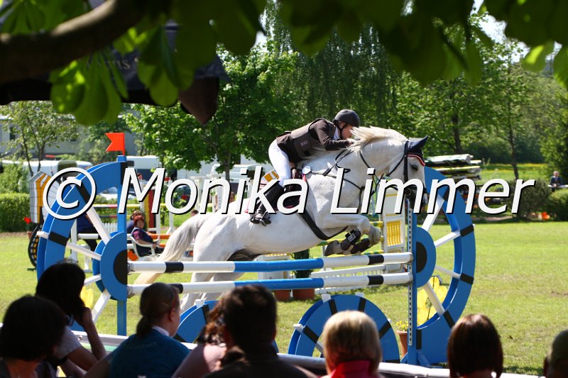 005M5454_Feivel the mouse_L Springen.JPG